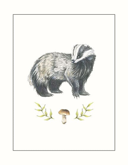 Badger & Porcini Mushroom - Illustration Print Fine Art Prints Native Fauna Art 