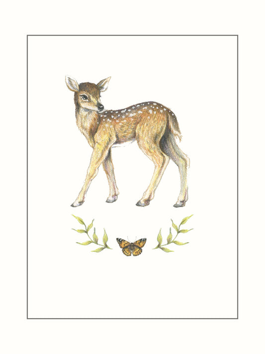 Fawn and Painted Lady Butterfly - Illustration Print Fine Art Prints Native Fauna Art 