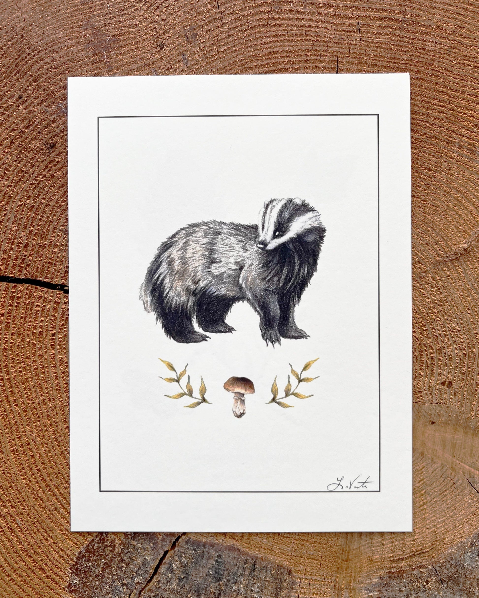 Badger & Porcini Mushroom - Illustration Print Fine Art Prints Native Fauna Art 