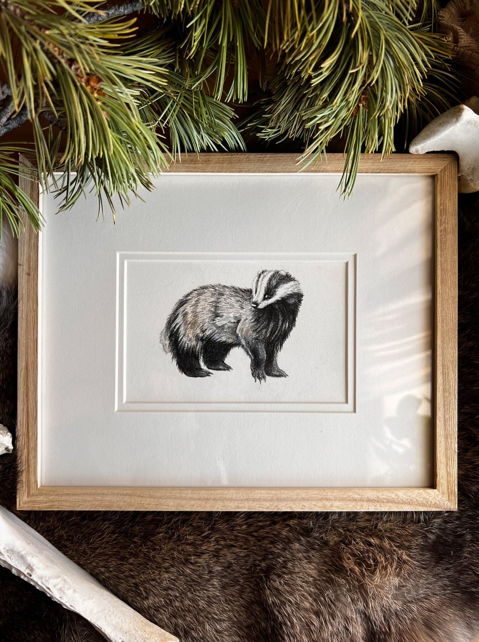 Framed Original - Badger Illustration Original Native Fauna Art 