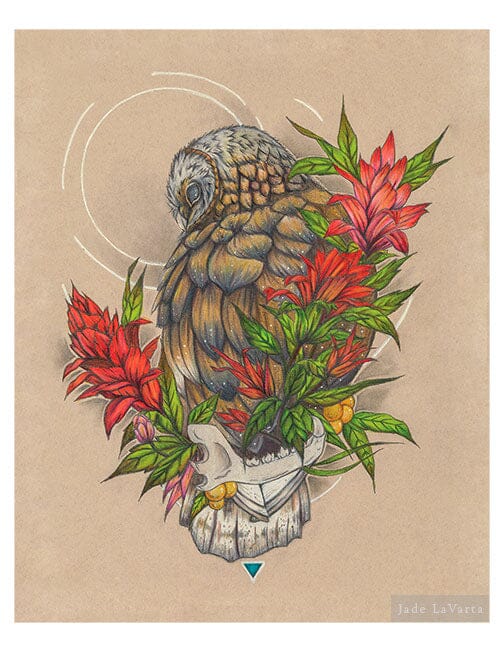 Barn Owl "Aesthete" - Illustration Print Fine Art Prints Native Fauna Art 