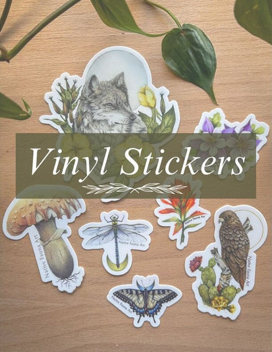 Wildlife and Botanical Stickers Vinyl Stickers Native Fauna Art 