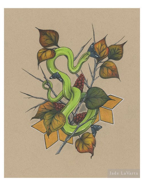 Grass Snake - Illustration Print Fine Art Prints Native Fauna Art 