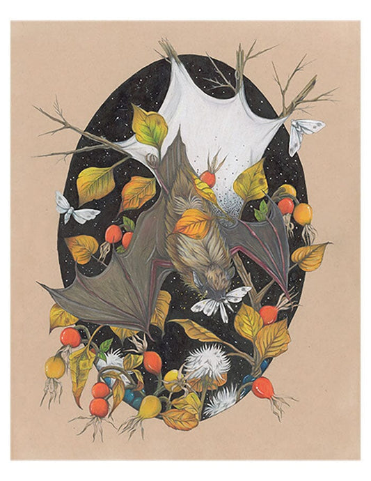 Brown Bat "Noctiphany" - Illustration Print Fine Art Prints Native Fauna Art 