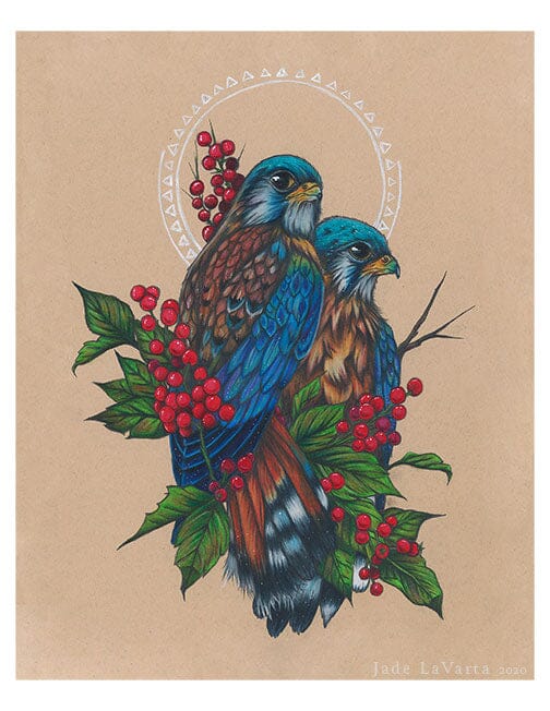 Kestrel Falcon Pair - Illustration Print Fine Art Prints Native Fauna Art 